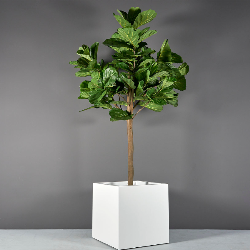 Montroy Cube Planter