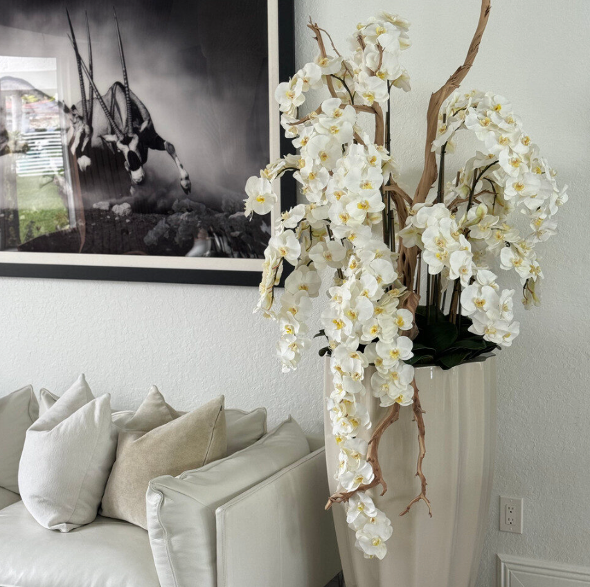 San Jose Planter in Sand Beige with Cascading White Orchids