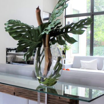 Moon Vase with Monstera Leaf and Driftwood