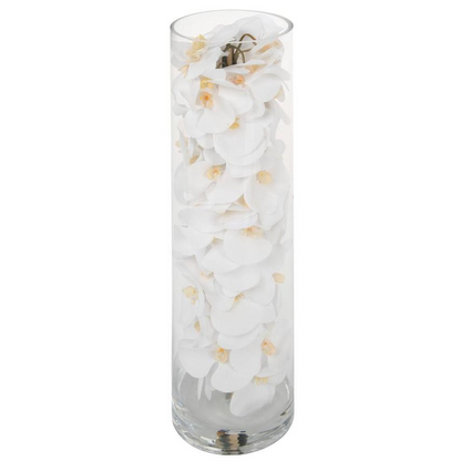 Glass Cylinder with White Phalaenopsis Orchids