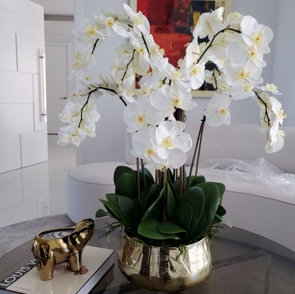 Phalaenopsis Orchids Floral Arrangement in Gold Planter