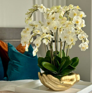 White Phalaenopsis Orchids in Gold Open Hands Sculpture Vase