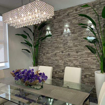 Bird of Paradise with Dax L Planter