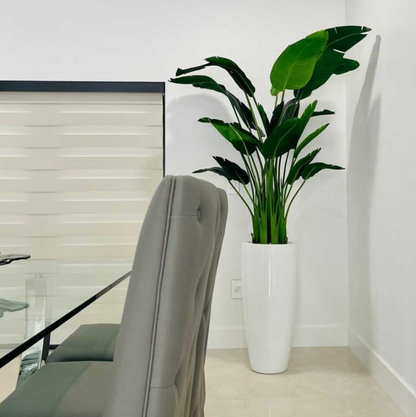 Bird of Paradise with Dax L Planter