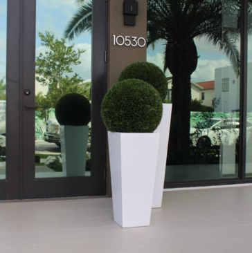 Topiary with Medium Beau Fiberglass Vase