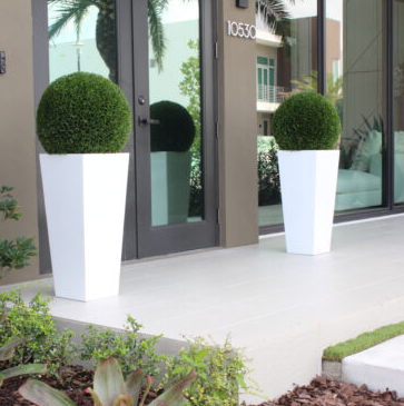 Topiary with Medium Beau Fiberglass Vase