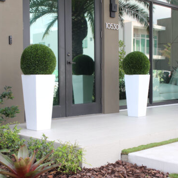 Topiary with Medium Beau Fiberglass Vase