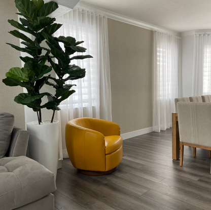 Fiddle Leaf Tree with Dax L Glossy White Fibreglass Planter