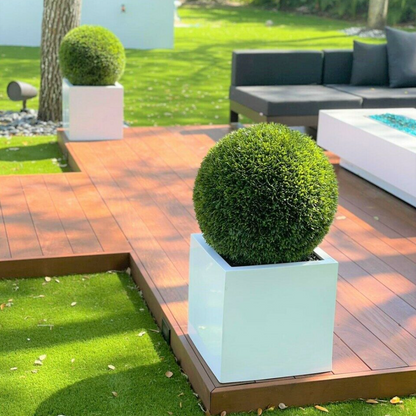 Large Block Fibreglass Planter with Topiary