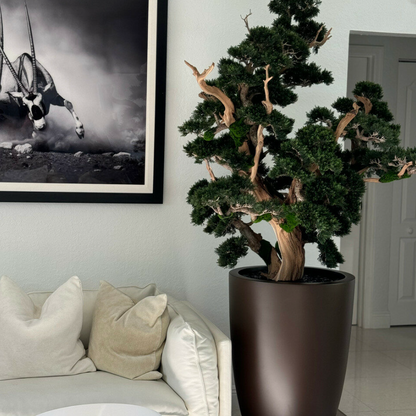 Oversized Bonsai in Matte Brown Brannan Planter