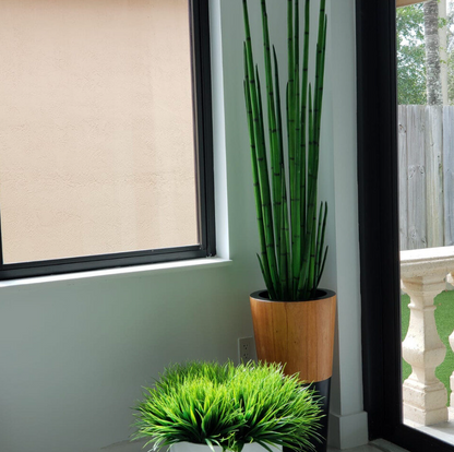 Snake Grass with Lux Planter in Black