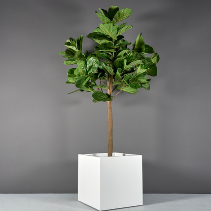 Montroy Cube Planter