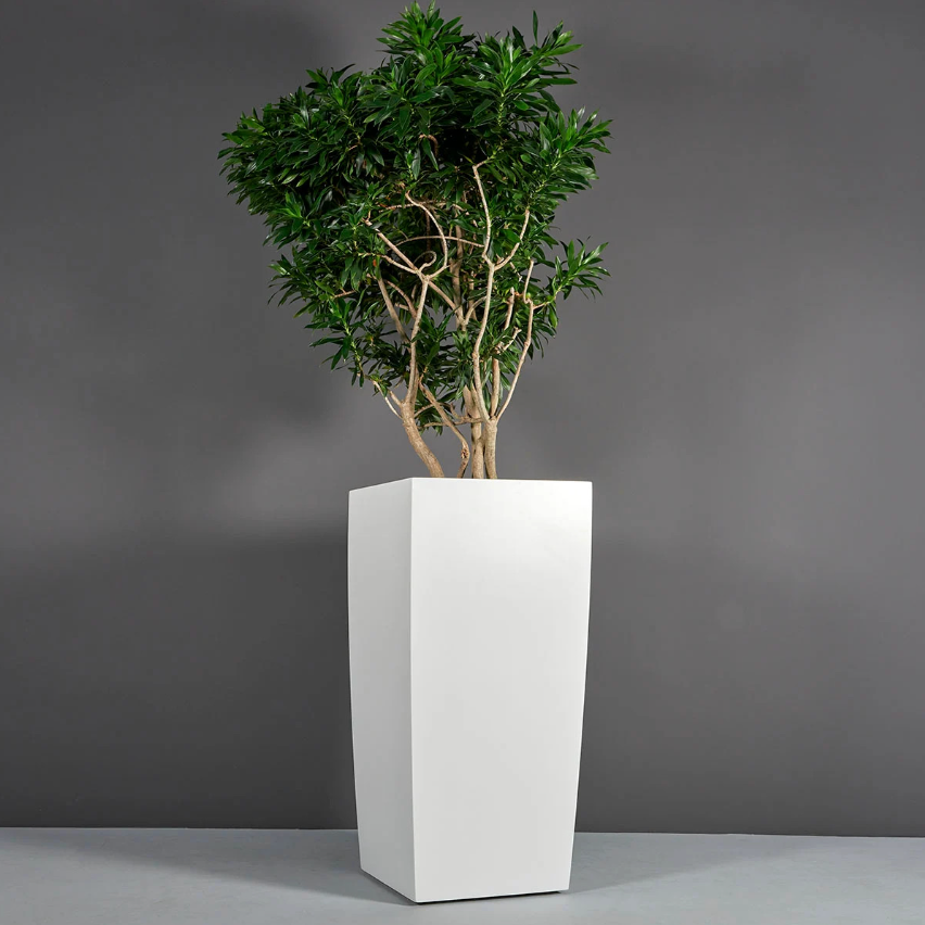 Toulan Square Fibreglass Planter