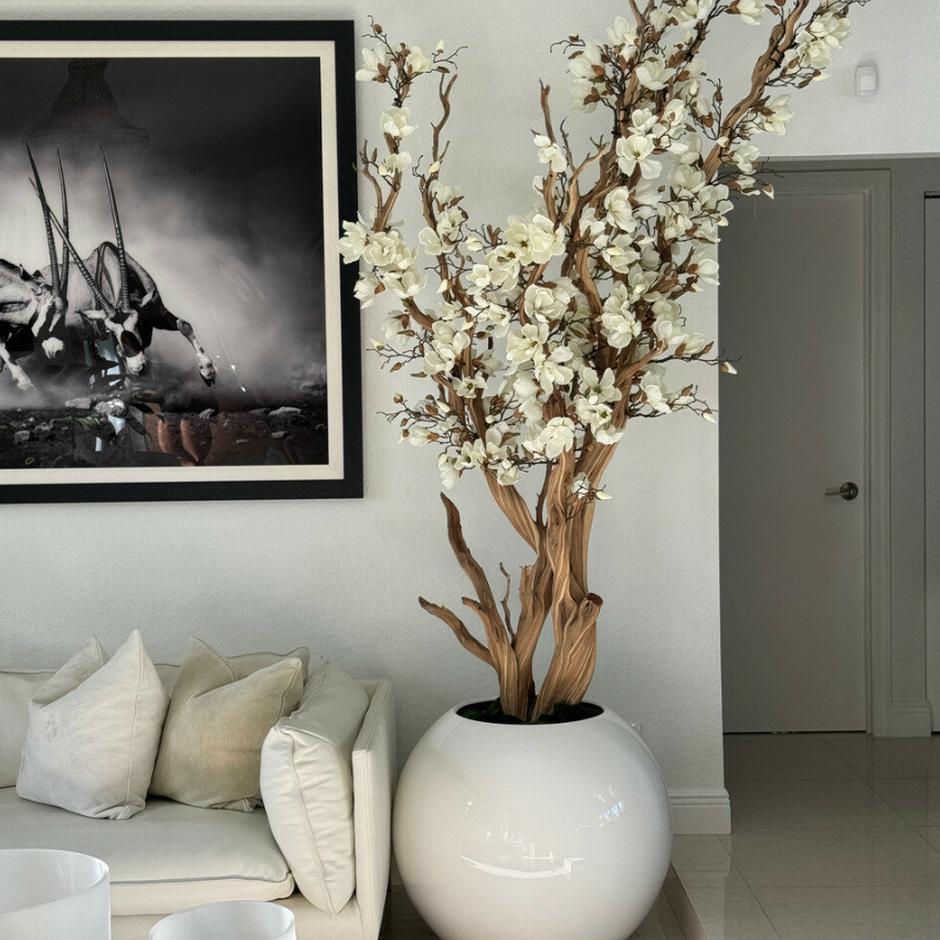 White Magnolia Tree in 76 cm Glossy White Globe Planter