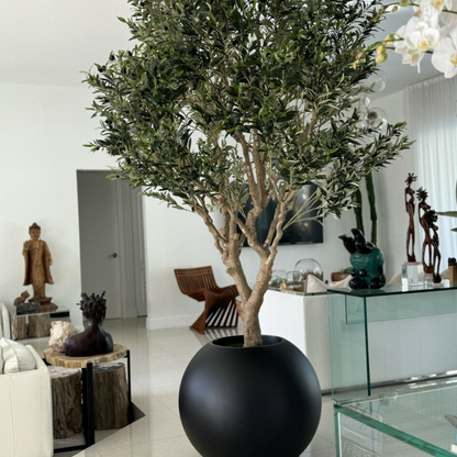 Olive Tree in Matte Black 76 cm Globe Planter