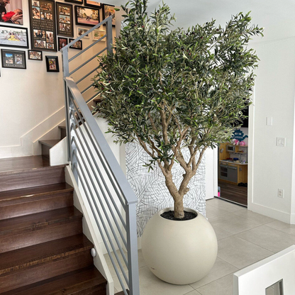 Olive Tree in Matte Beige 76 cm Globe Planter