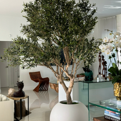 Olive Tree in Matte Beige 76 cm Globe Planter