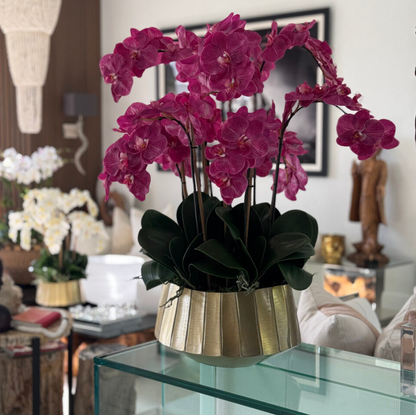 Helena Boat Planter with Pink Phalaenopsis Orchids