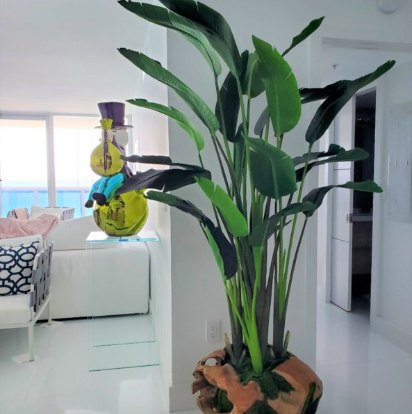 Large Ship-Shape Teak Planter with Large Bird of Paradise Flower
