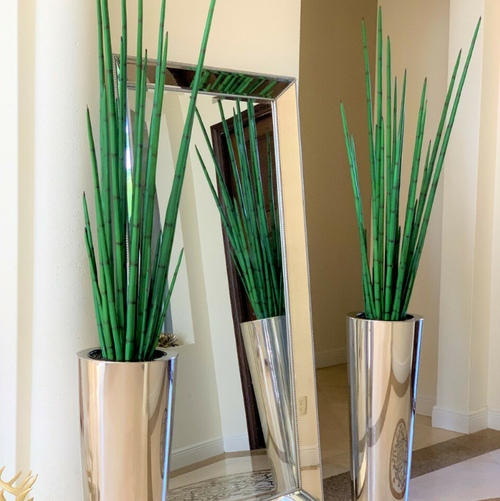 Large Polished Stainless Steel Cone Vase with Large Snake Grass Plant.