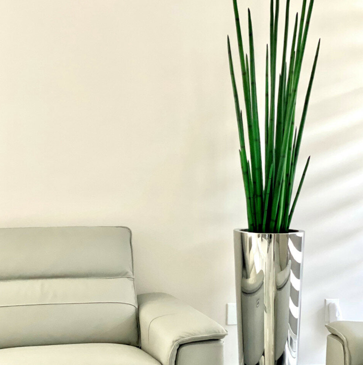 Large Polished Stainless Steel Cone Vase with Large Snake Grass Plant.