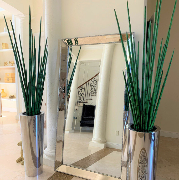 Large Polished Stainless Steel Cone Vase with Large Snake Grass Plant.