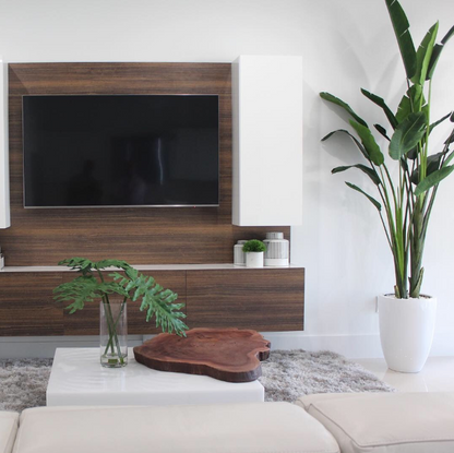 2.70 m Bird of Paradise with Ben Planter in Glossy White