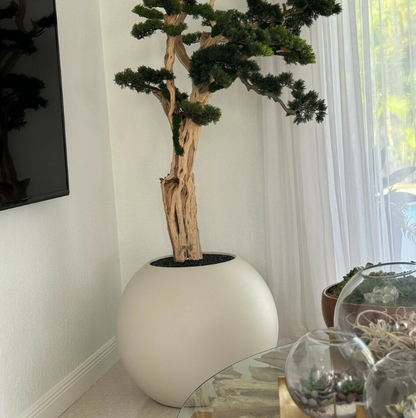 Bonsai in a 75 cm Satin Beige Globe Planter