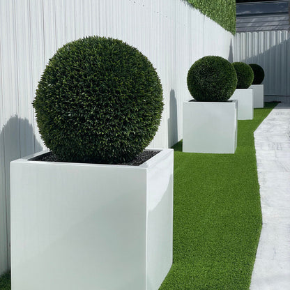 Large Block Fiberglass Planter with 20″ Topiary				
(1 in Stock)