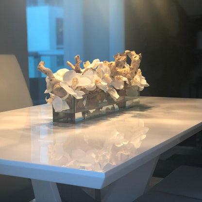 24″ Casa Moderna Glass Plate Planter with white orchids