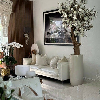 8ft White Magnolia Tree in Glossy Beige St. Tropez Planter