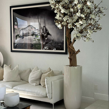 8ft White Magnolia Tree in Glossy Beige St. Tropez Planter