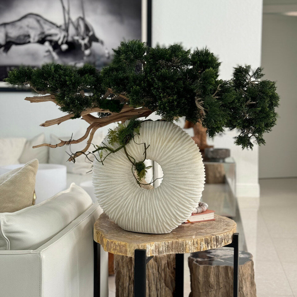 Medium Eternity Vase with Trailing Bonsai Tree and Driftwood