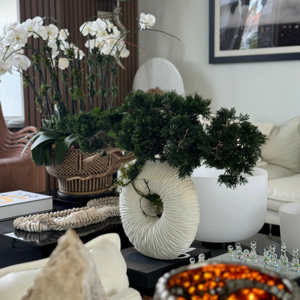 Medium Eternity Vase with Trailing Bonsai Tree and Driftwood