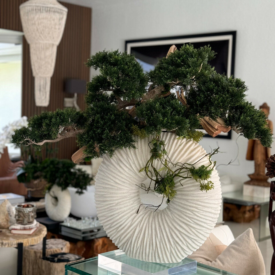 Medium Eternity Vase with Trailing Bonsai Tree and Driftwood