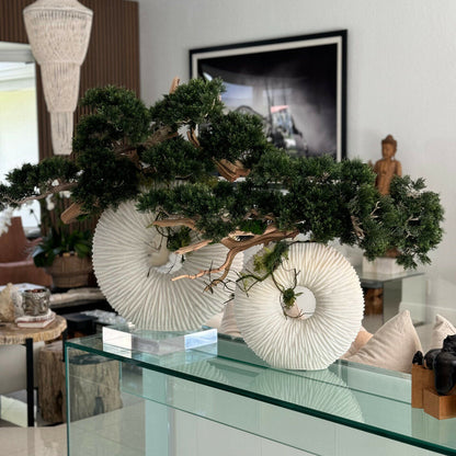 Medium Eternity Vase with Trailing Bonsai Tree and Driftwood