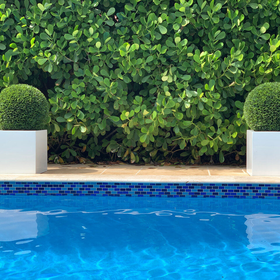 Medium Block Fiberglass Planter with 20″ Topiary