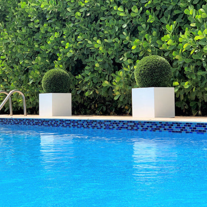 Medium Block Fiberglass Planter with 20″ Topiary