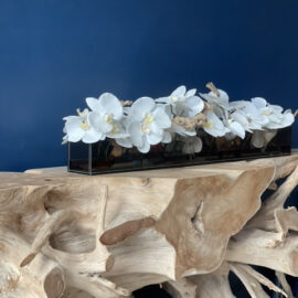 48″ Casa Moderna Black Tinted Glass Plate Planter with white Phalaenopsis orchids