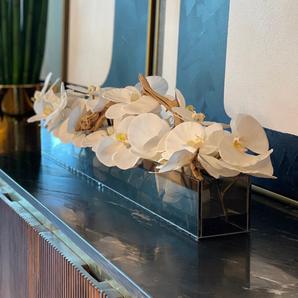 48″ Casa Moderna Black Tinted Glass Plate Planter with white Phalaenopsis orchids