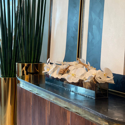 48″ Casa Moderna Black Tinted Glass Plate Planter with white Phalaenopsis orchids