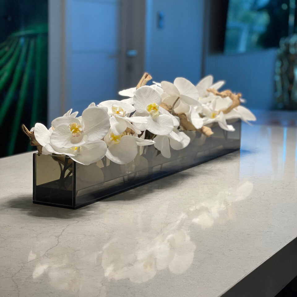 48″ Casa Moderna Black Tinted Glass Plate Planter with white Phalaenopsis orchids