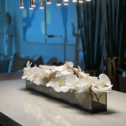 48″ Casa Moderna Black Tinted Glass Plate Planter with white Phalaenopsis orchids