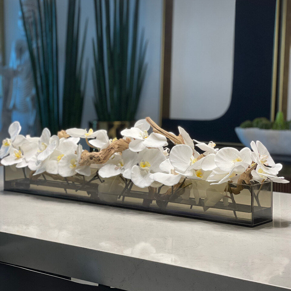 48″ Casa Moderna Black Tinted Glass Plate Planter with white Phalaenopsis orchids