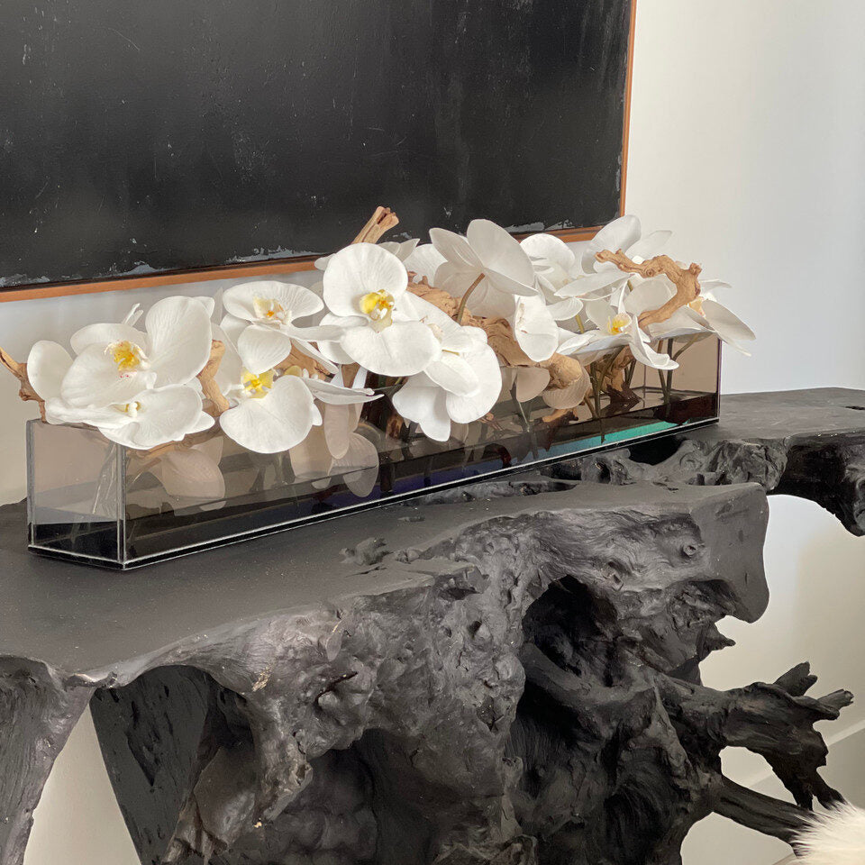 48″ Casa Moderna Black Tinted Glass Plate Planter with white Phalaenopsis orchids