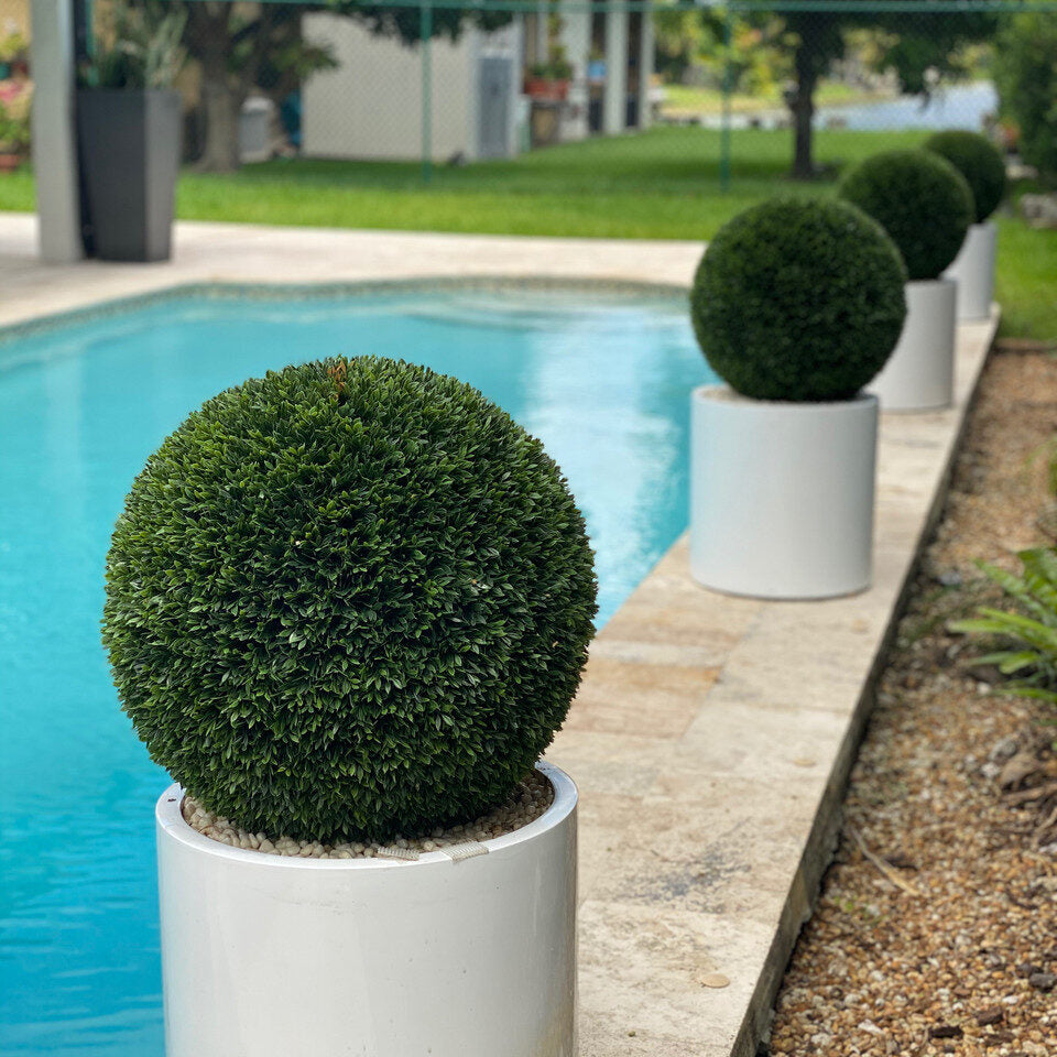 20″ Topiary with Max Fiberglass Vase