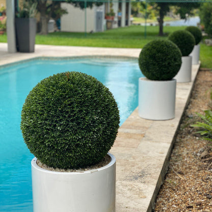 20″ Topiary with Max Fiberglass Vase