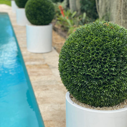 20″ Topiary with Max Fiberglass Vase