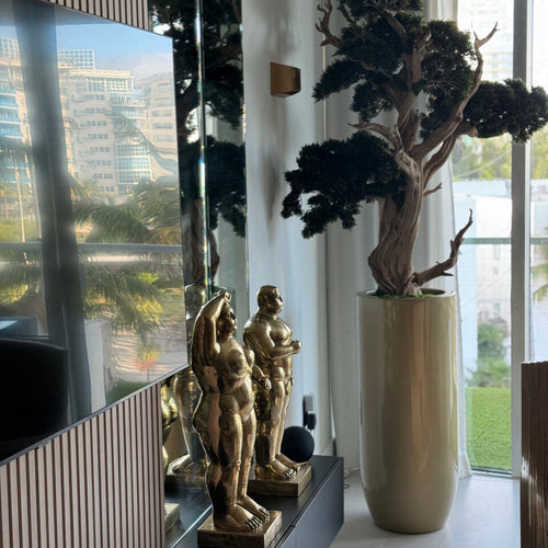 Bonsai in Saint Tropez Planter