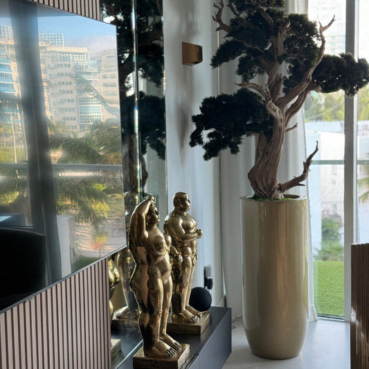 Bonsai in Saint Tropez Planter